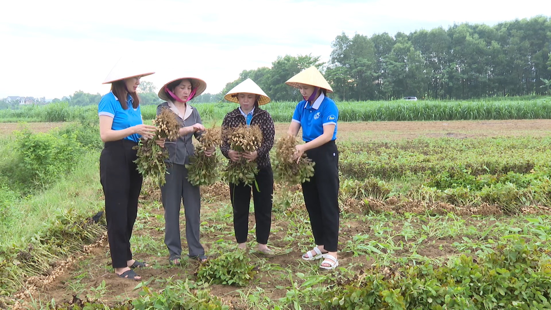Thanh Hóa làm theo lời Bác- Ảnh 6. Thanh Hóa làm theo lời Bác- Ảnh 6.