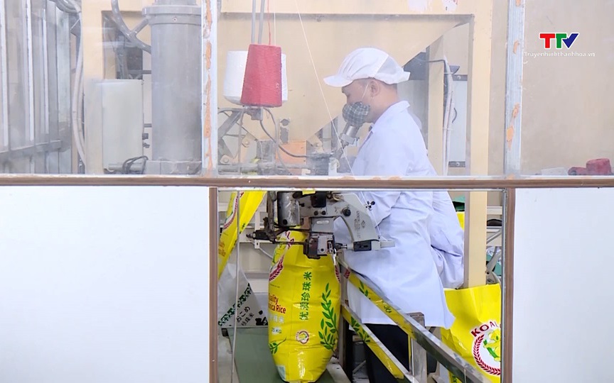 Bộ Công Thương sửa đổi Thông tư số 30 về kinh doanh xuất khẩu gạo