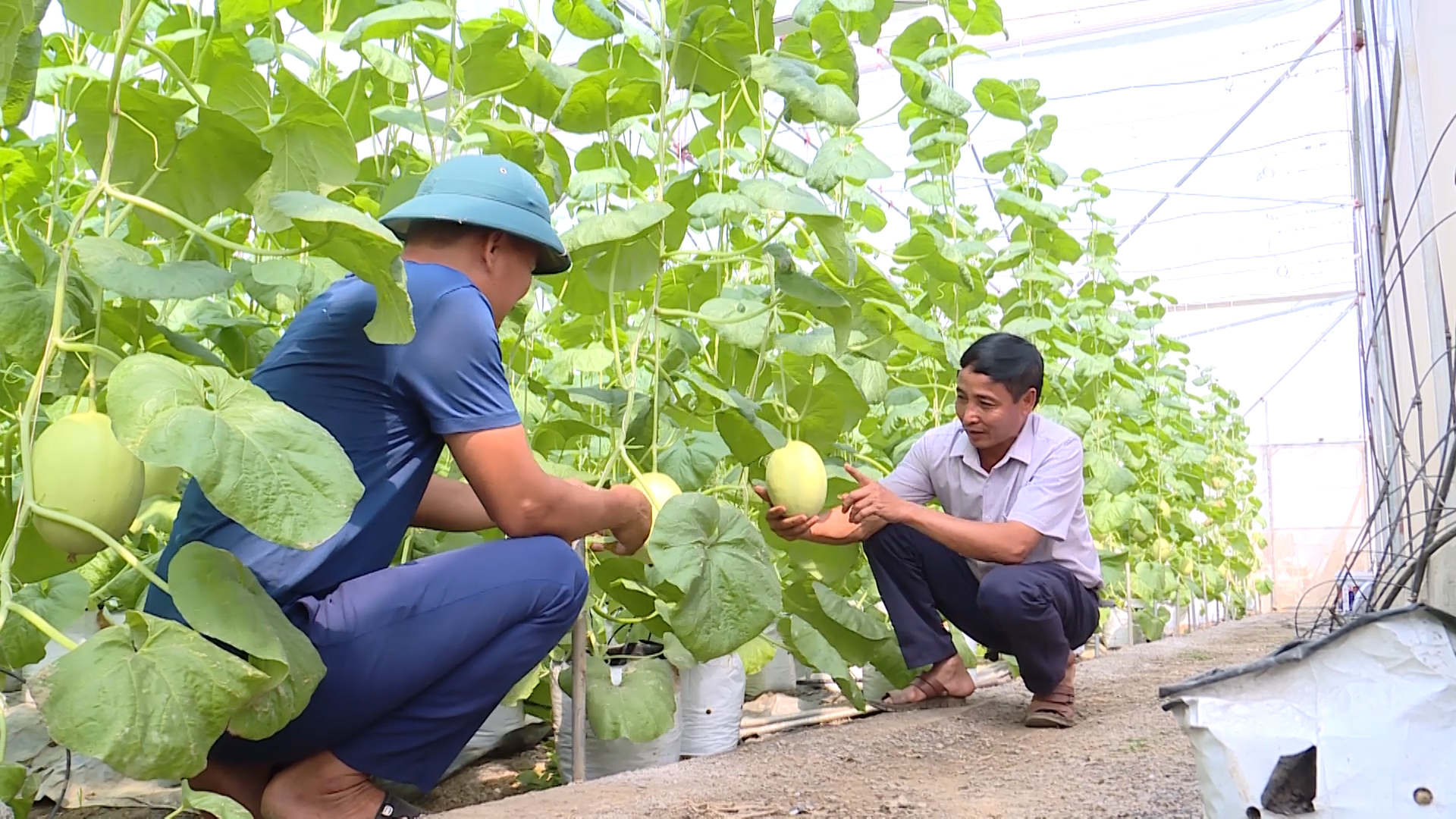 Thanh Hóa làm theo lời Bác- Ảnh 10. Thanh Hóa làm theo lời Bác- Ảnh 10.