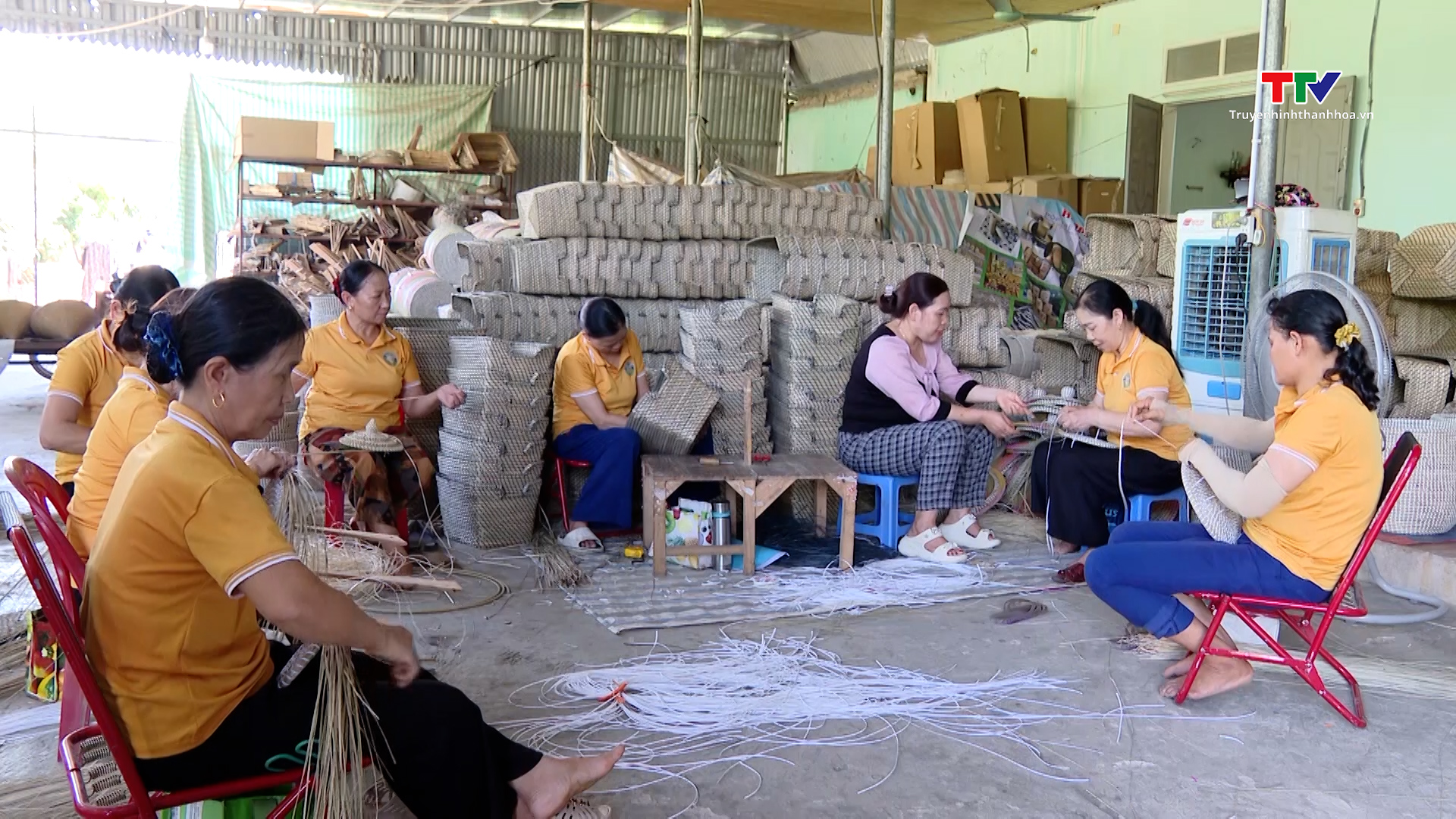 Thi đua yêu nước - Động lực phát triển kinh tế tập thể- Ảnh 2. Thi đua yêu nước - Động lực phát triển kinh tế tập thể- Ảnh 2.
