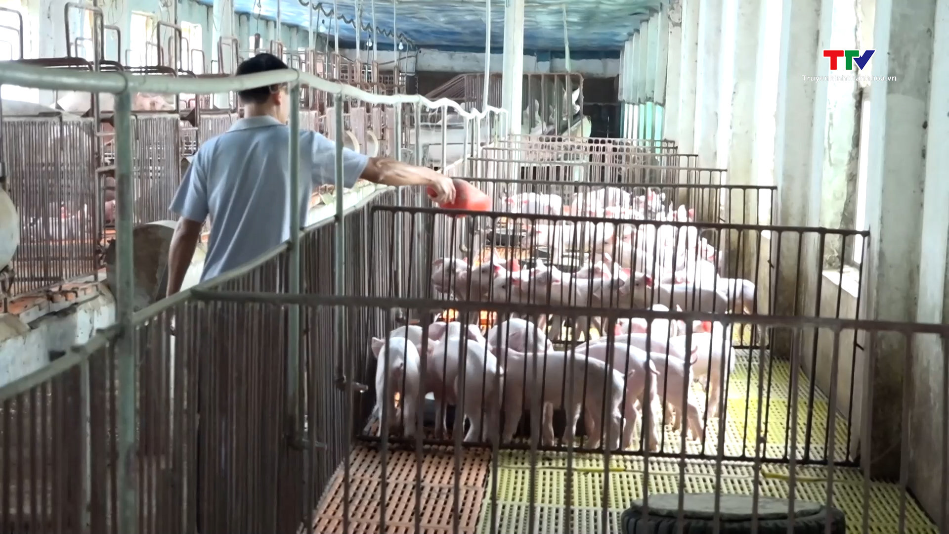 Vốn tín dụng chính sách góp phần giải quyết việc làm tại Vĩnh Lộc- Ảnh 7. Vốn tín dụng chính sách góp phần giải quyết việc làm tại Vĩnh Lộc- Ảnh 7.