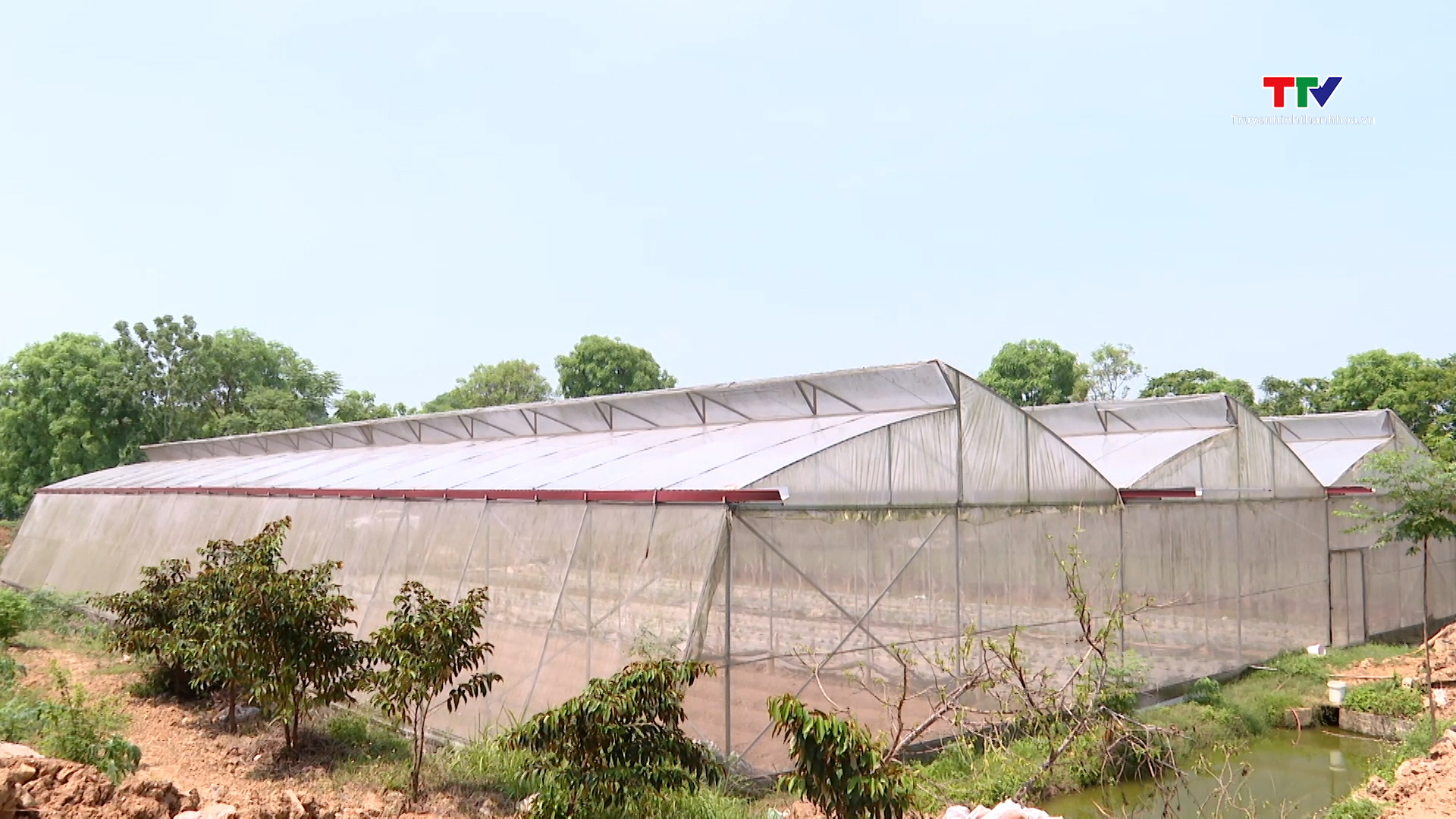 Vốn tín dụng chính sách góp phần giải quyết việc làm tại Vĩnh Lộc- Ảnh 1. Vốn tín dụng chính sách góp phần giải quyết việc làm tại Vĩnh Lộc- Ảnh 1.