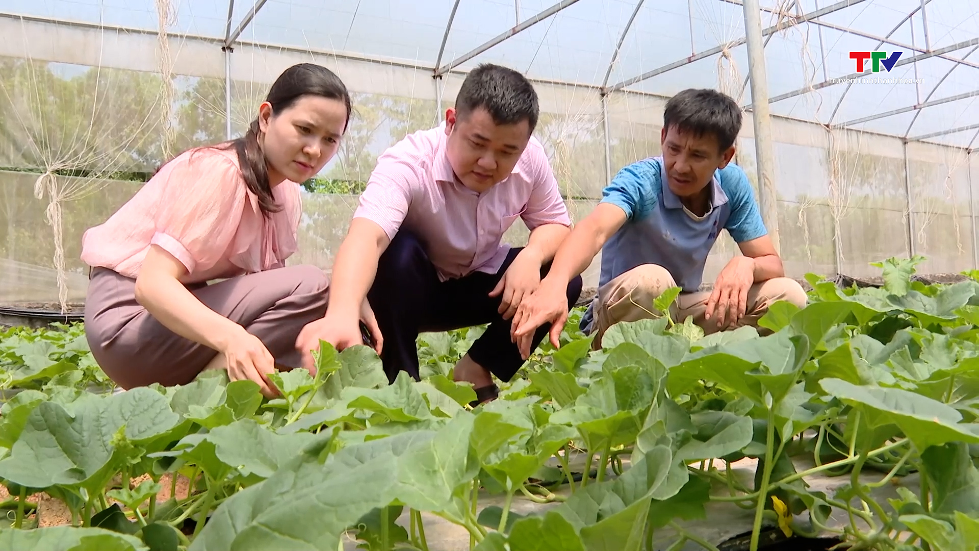 Vốn tín dụng chính sách góp phần giải quyết việc làm tại Vĩnh Lộc- Ảnh 2. Vốn tín dụng chính sách góp phần giải quyết việc làm tại Vĩnh Lộc- Ảnh 2.