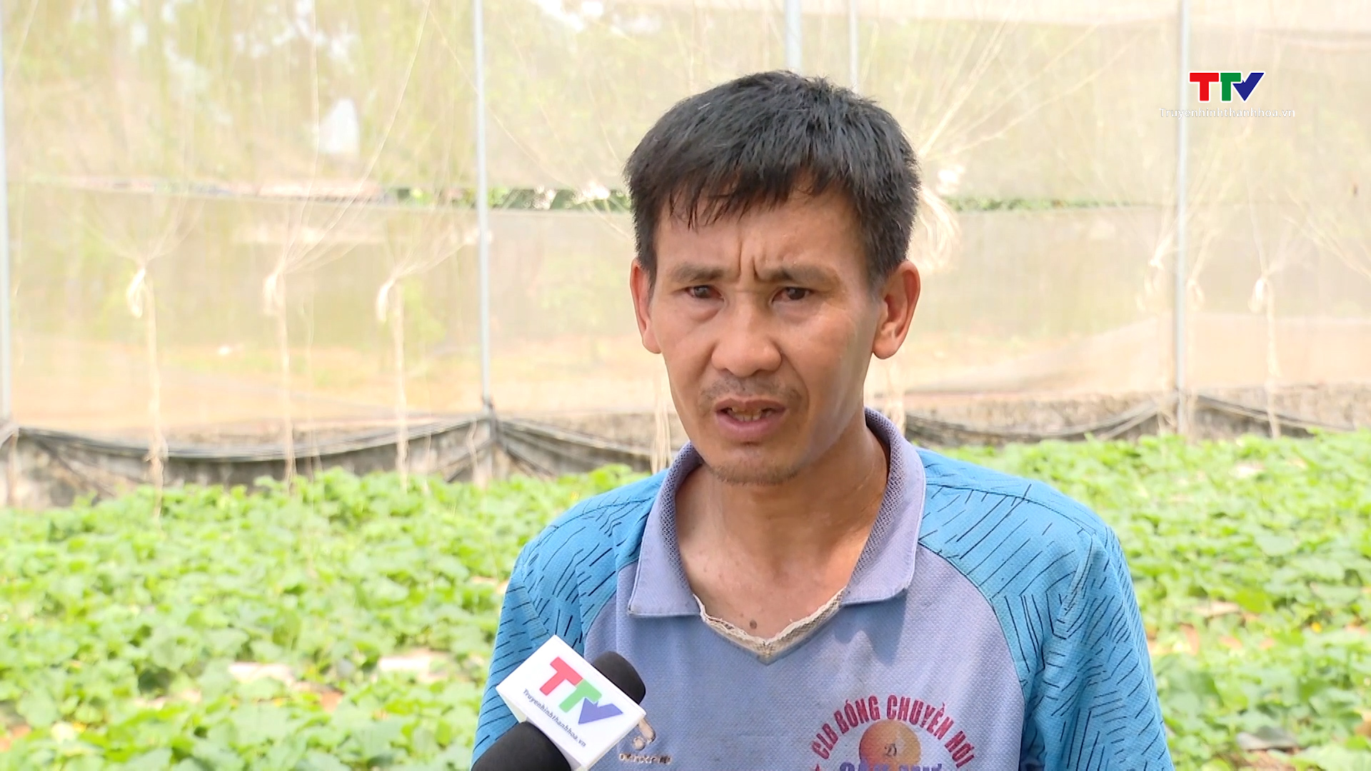 Vốn tín dụng chính sách góp phần giải quyết việc làm tại Vĩnh Lộc- Ảnh 3. Vốn tín dụng chính sách góp phần giải quyết việc làm tại Vĩnh Lộc- Ảnh 3.