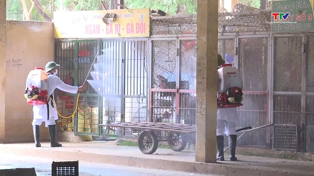 Tăng cường phòng chống dịch bệnh gia súc, gia cầm tại các chợ- Ảnh 1. Tăng cường phòng chống dịch bệnh gia súc, gia cầm tại các chợ- Ảnh 1.