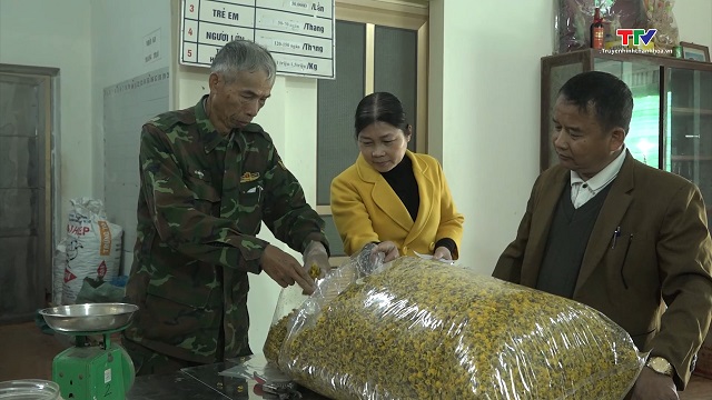 Hiệu quả mô hình hoa cúc chi sấy khô của gia đình ông Lê Khắc Phú, xã Đông Minh- Ảnh 2. Hiệu quả mô hình hoa cúc chi sấy khô của gia đình ông Lê Khắc Phú, xã Đông Minh- Ảnh 2.