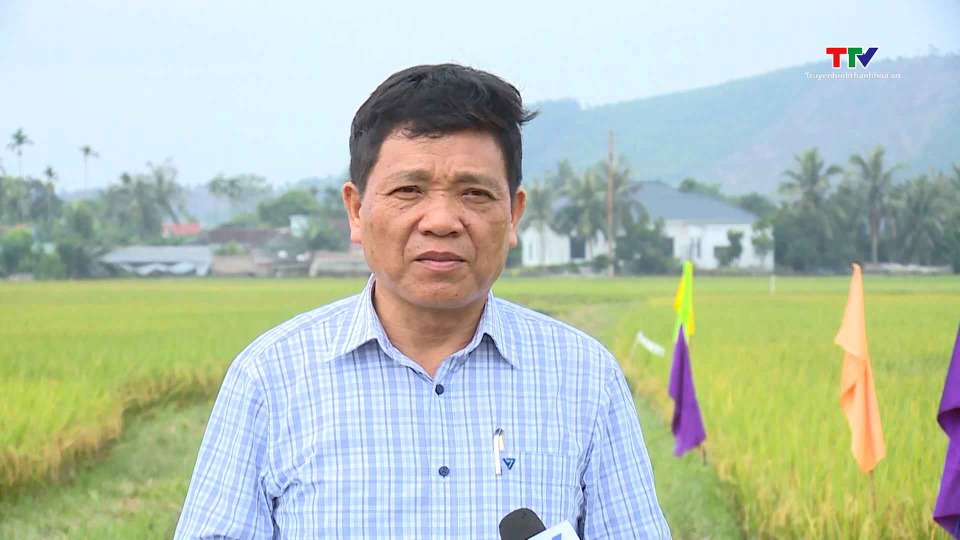 Liên kết sản xuất gắn với tiêu thụ - Nâng cao hiệu quả lúa gạo- Ảnh 2. Liên kết sản xuất gắn với tiêu thụ - Nâng cao hiệu quả lúa gạo- Ảnh 2.