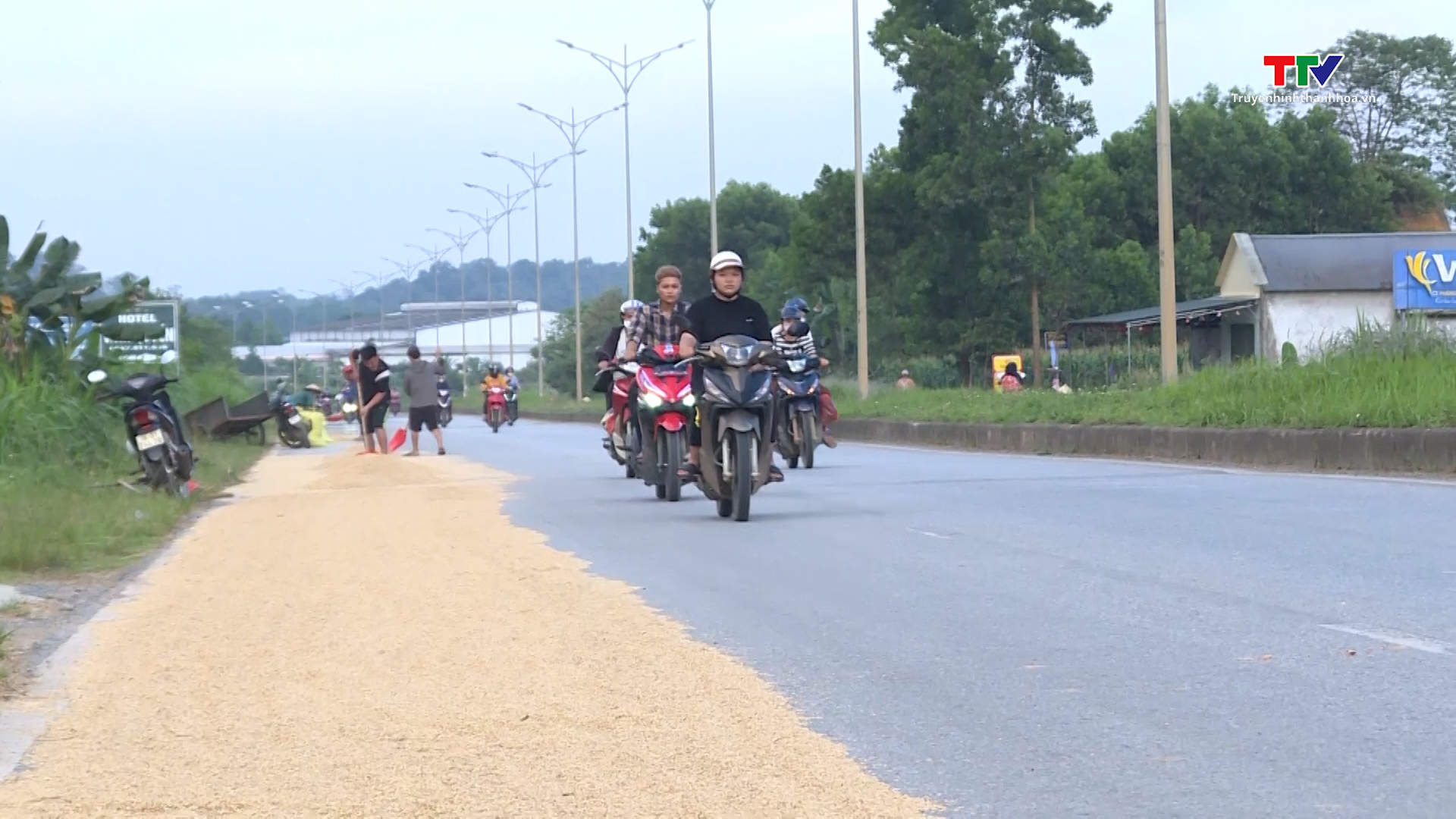 Chấn chỉnh tình trạng phơi nông sản trên đường- Ảnh 1. Chấn chỉnh tình trạng phơi nông sản trên đường- Ảnh 1.