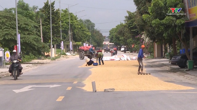 Cần chấn chỉnh tình trạng phơi lúa, rơm rạ trên đường tiềm ẩn nguy cơ mất an toàn giao thông- Ảnh 1. Cần chấn chỉnh tình trạng phơi lúa, rơm rạ trên đường tiềm ẩn nguy cơ mất an toàn giao thông- Ảnh 1.