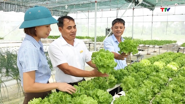 Thanh Hóa phát triển được 79 chuỗi liên kết tiêu thụ rau, quả an toàn- Ảnh 1. Thanh Hóa phát triển được 79 chuỗi liên kết tiêu thụ rau, quả an toàn- Ảnh 1.