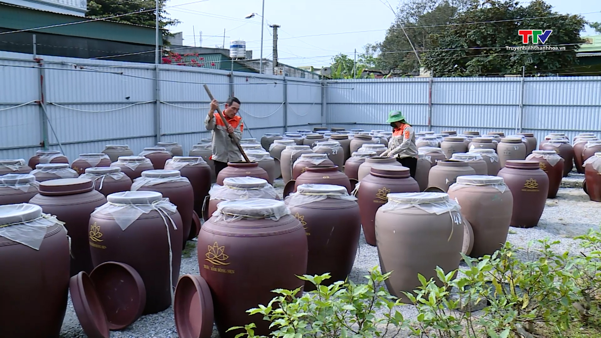 Nghị quyết 68 tạo động lực phát triển nghề chế biến thủy sản ở Thanh Hóa- Ảnh 6. Nghị quyết 68 tạo động lực phát triển nghề chế biến thủy sản ở Thanh Hóa- Ảnh 6.