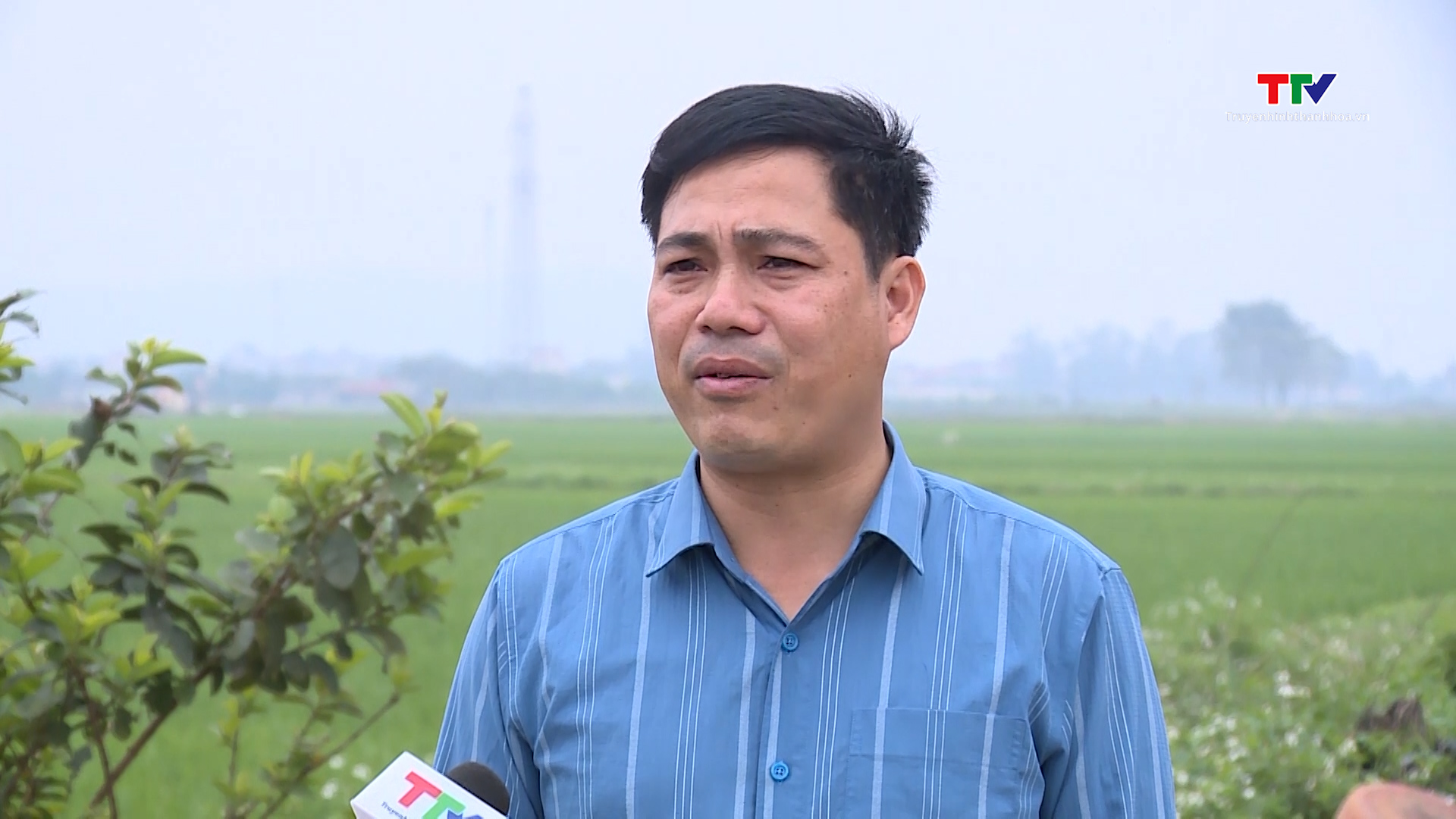 Ứng dụng khoa học công nghệ trong xây dựng Nông thôn mới- Ảnh 5. Ứng dụng khoa học công nghệ trong xây dựng Nông thôn mới- Ảnh 5.