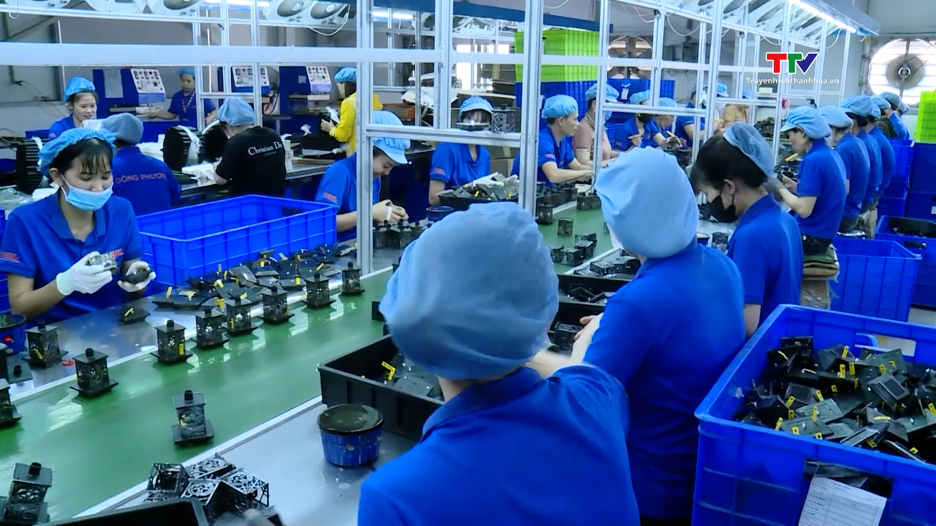 Ứng dụng khoa học công nghệ thúc đẩy phát triển kinh tế tư nhân- Ảnh 4.
