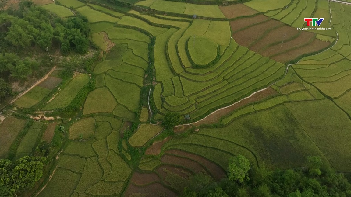 Miền Tây xanh- Ảnh 3. Miền Tây xanh- Ảnh 3.