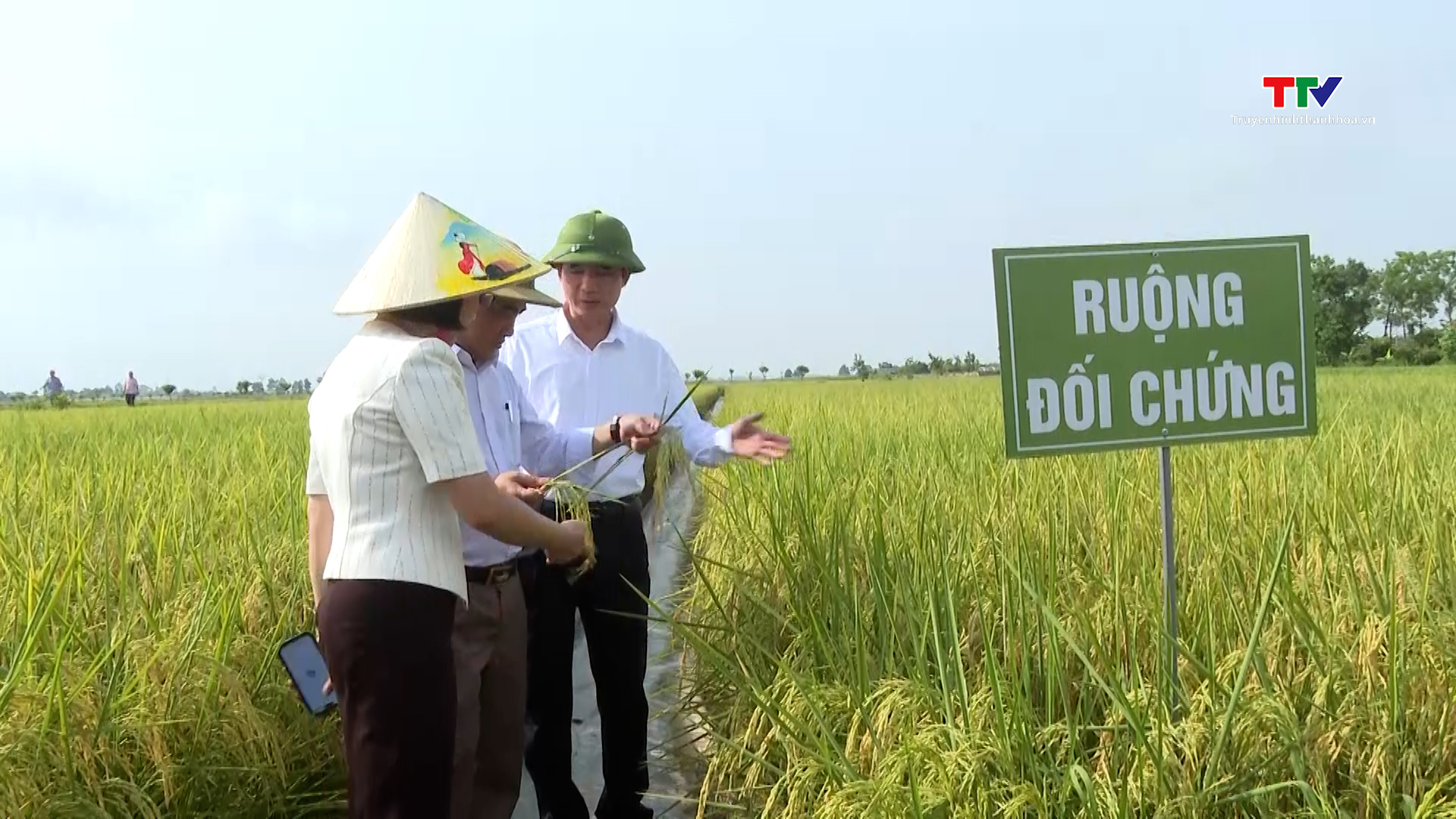 Sử dụng phân bón hữu cơ, hướng tới nền nông nghiệp an toàn- Ảnh 7. Sử dụng phân bón hữu cơ, hướng tới nền nông nghiệp an toàn- Ảnh 7.