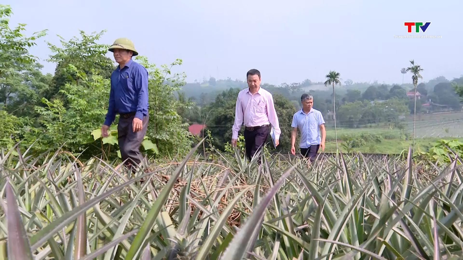 Thạch Thành: Vốn tín dụng chính sách hơn 696 tỷ đồng- Ảnh 1. Thạch Thành: Vốn tín dụng chính sách hơn 696 tỷ đồng- Ảnh 1.