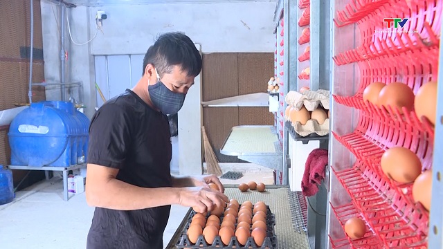 Thanh Hóa phát triển nông nghiệp thông minh- Ảnh 1. Thanh Hóa phát triển nông nghiệp thông minh- Ảnh 1.