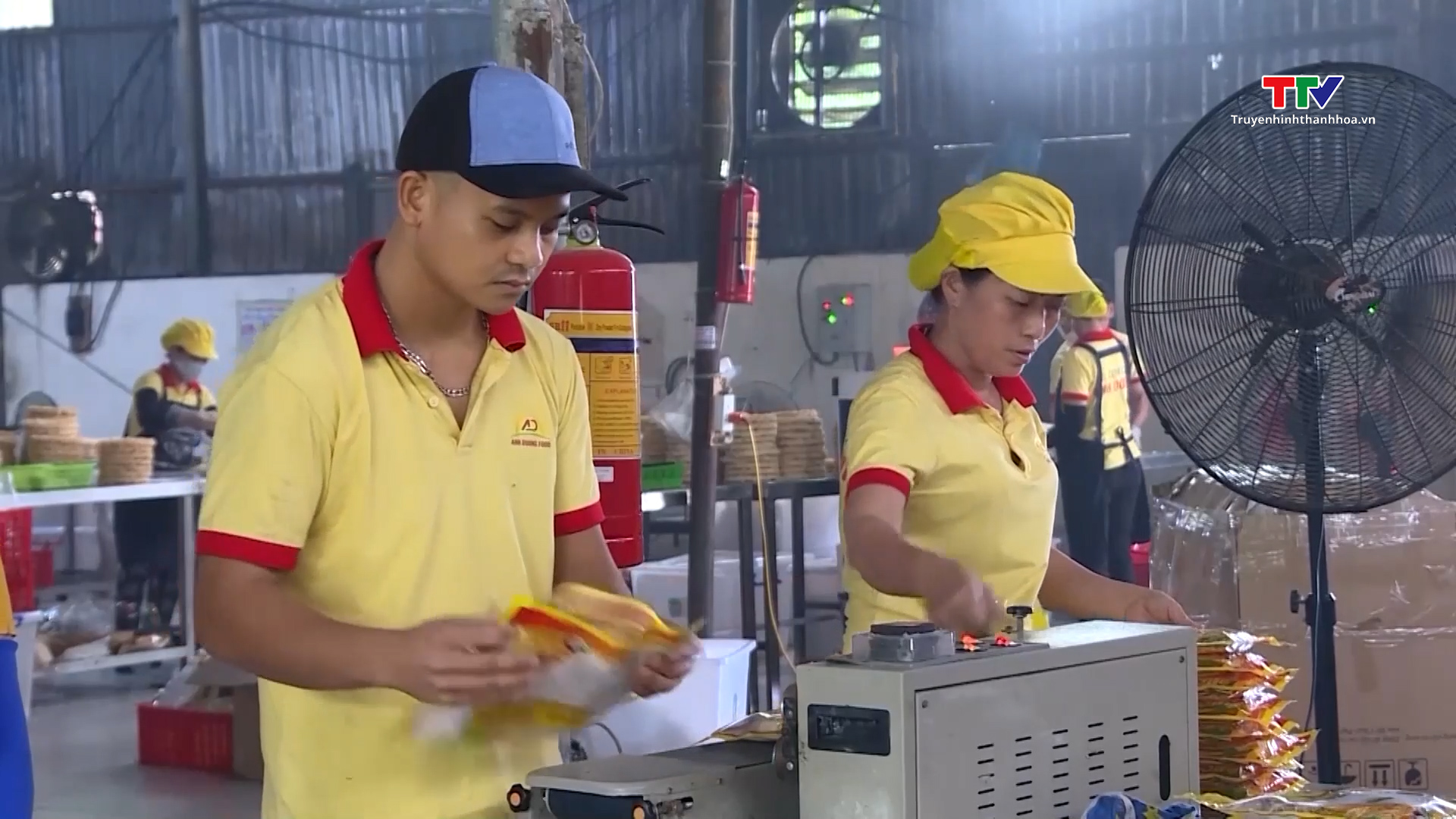 5 tháng đầu năm, Thanh Hóa thành lập 1.242 doanh nghiệp mới- Ảnh 1. 5 tháng đầu năm, Thanh Hóa thành lập 1.242 doanh nghiệp mới- Ảnh 1.
