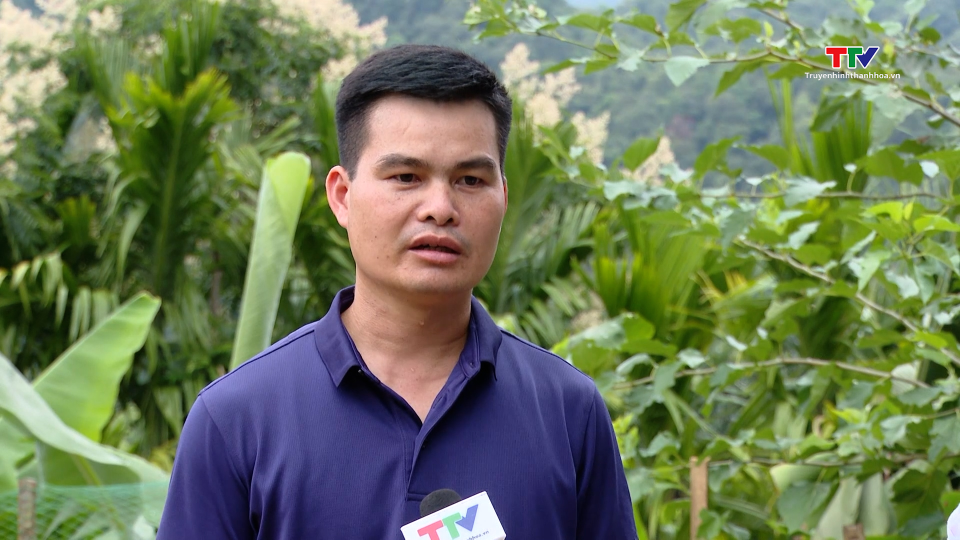 Pù Luông “hút” khách mùa lúa chín- Ảnh 4. Pù Luông “hút” khách mùa lúa chín- Ảnh 4.