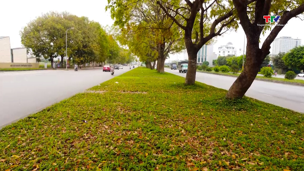 Chiều ngang qua phố- Ảnh 2. Chiều ngang qua phố- Ảnh 2.