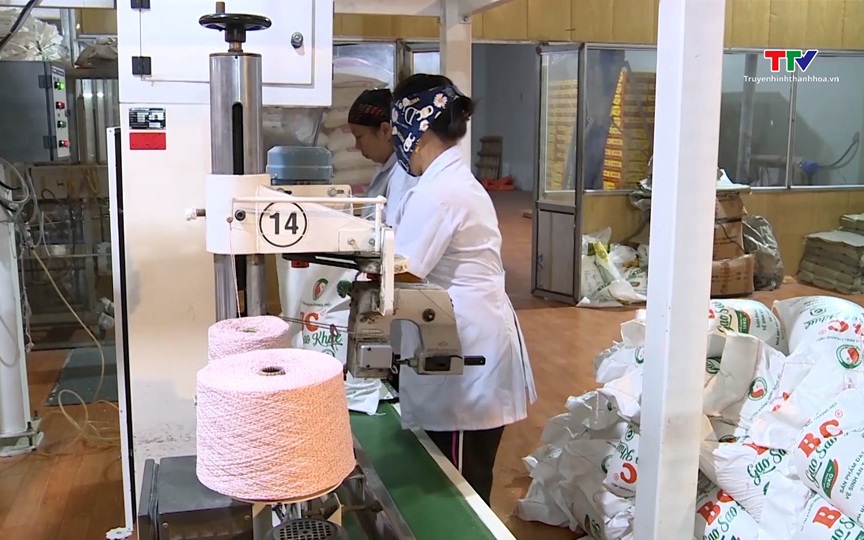 152 doanh nghiệp đủ điều kiện làm thương nhân kinh doanh xuất khẩu gạo