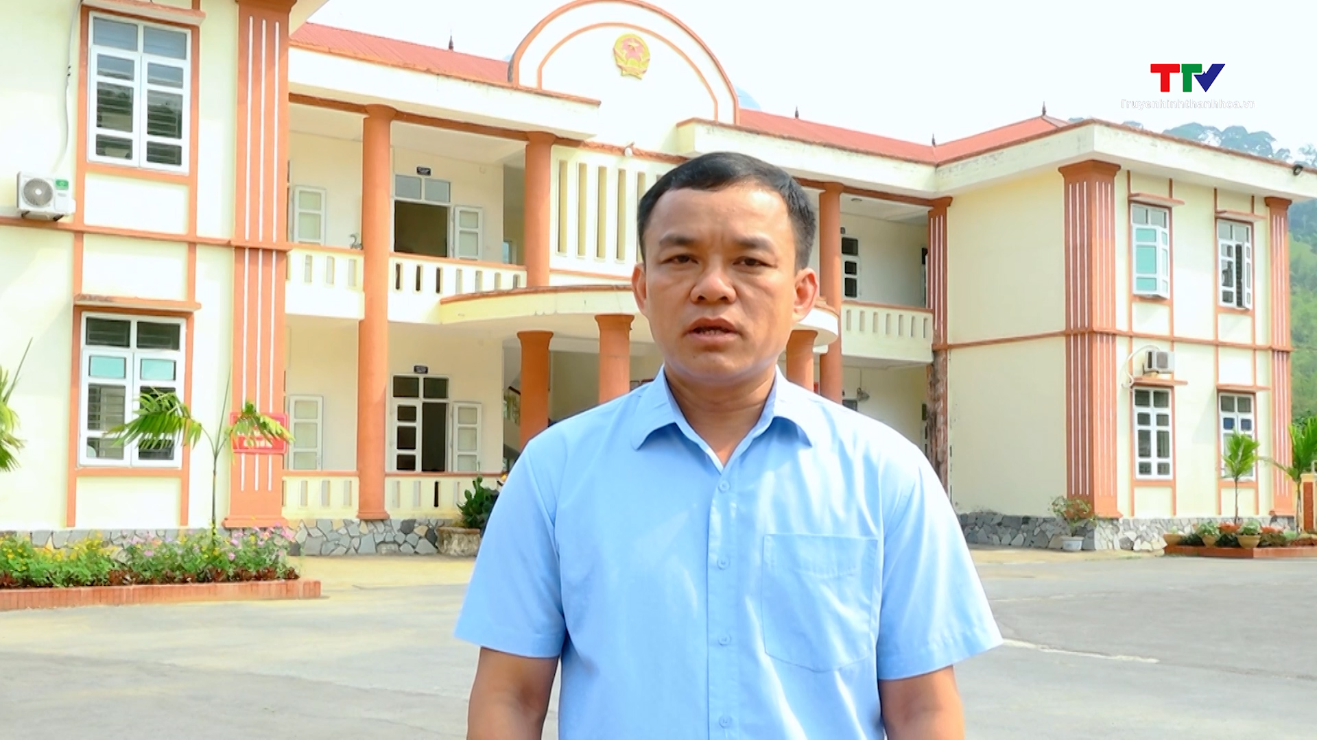 Nhiều diện tích nứa, vầu ở Quan Sơn bị khuy- Ảnh 2. Nhiều diện tích nứa, vầu ở Quan Sơn bị khuy- Ảnh 2.