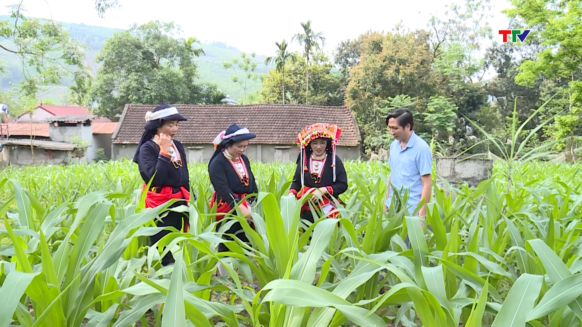 Những người “giữ lửa” văn hóa dân tộc Dao- Ảnh 4. Những người “giữ lửa” văn hóa dân tộc Dao- Ảnh 4.