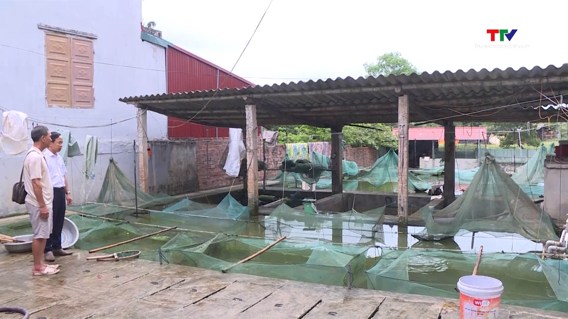 Ứng dụng khoa học kỹ thuật trong nuôi ươm cá giống, cá sinh sản- Ảnh 1. Ứng dụng khoa học kỹ thuật trong nuôi ươm cá giống, cá sinh sản- Ảnh 1.