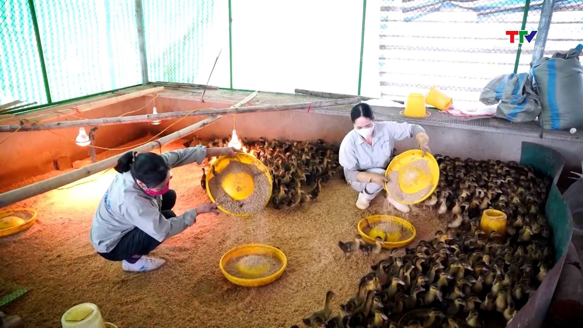 Hiệu quả mô hình phát triển con nuôi đặc sản - Ảnh 4. Hiệu quả mô hình phát triển con nuôi đặc sản - Ảnh 4.