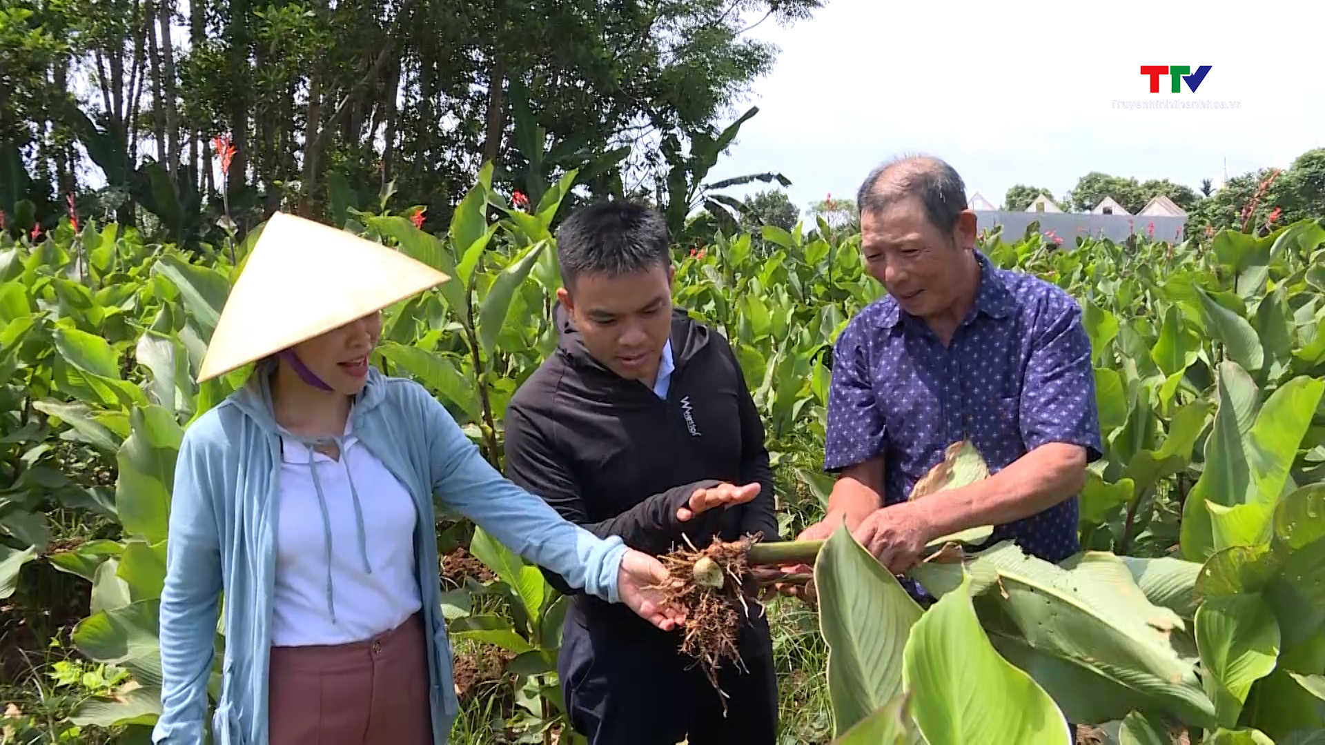 Vai trò của Hội Nông dân trong phát triển kinh tế tập thể, hợp tác xã- Ảnh 4. Vai trò của Hội Nông dân trong phát triển kinh tế tập thể, hợp tác xã- Ảnh 4.