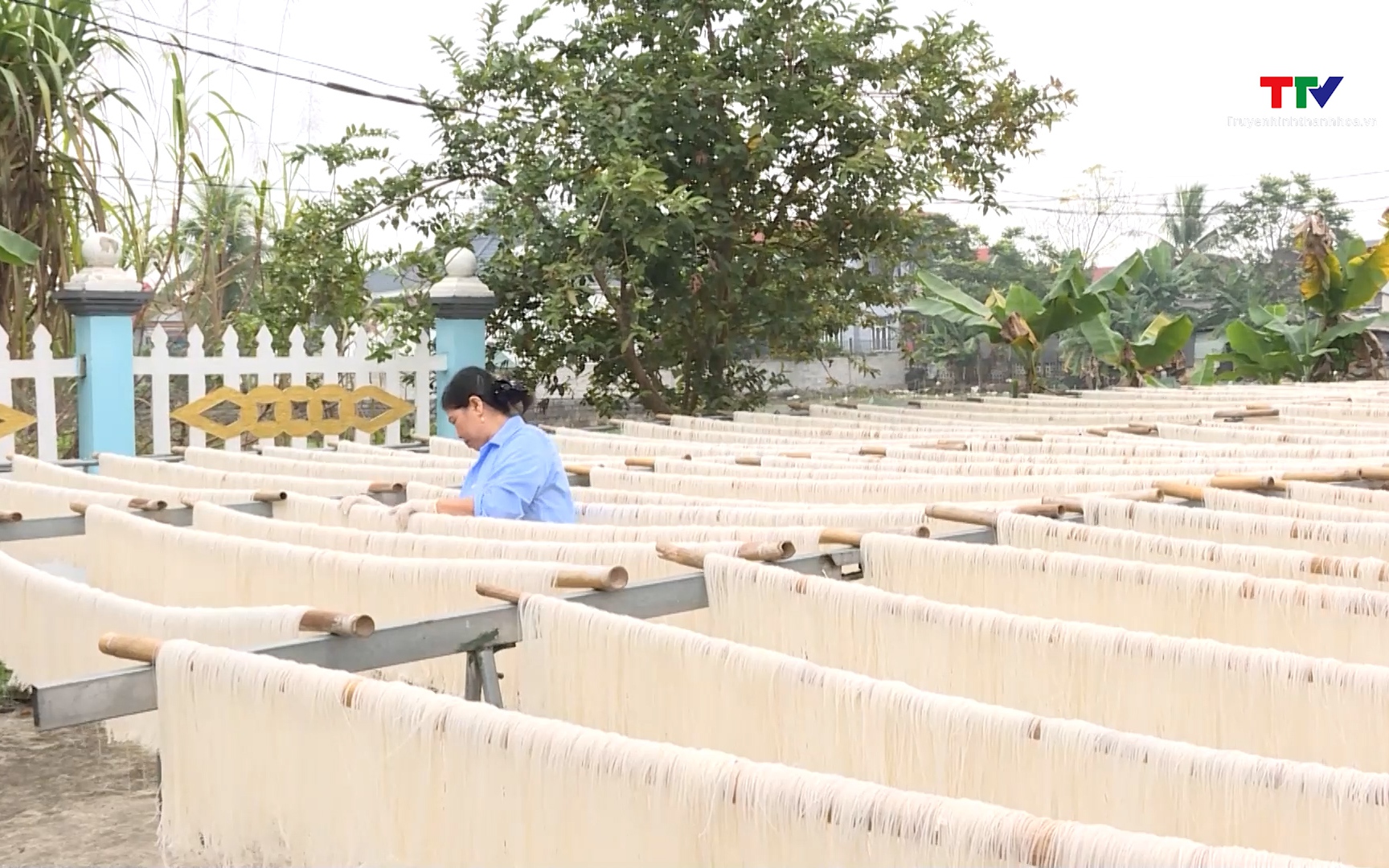 Quỹ hỗ trợ phát triển hợp tác xã Thanh Hóa tư vấn cho vay gần 71 tỷ đồng