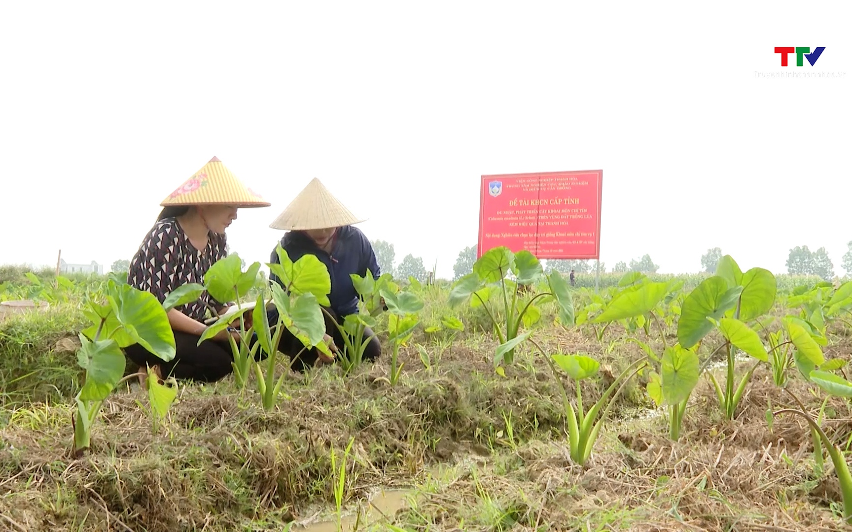 Nâng cao chất lượng các nhiệm vụ khoa học công nghệ