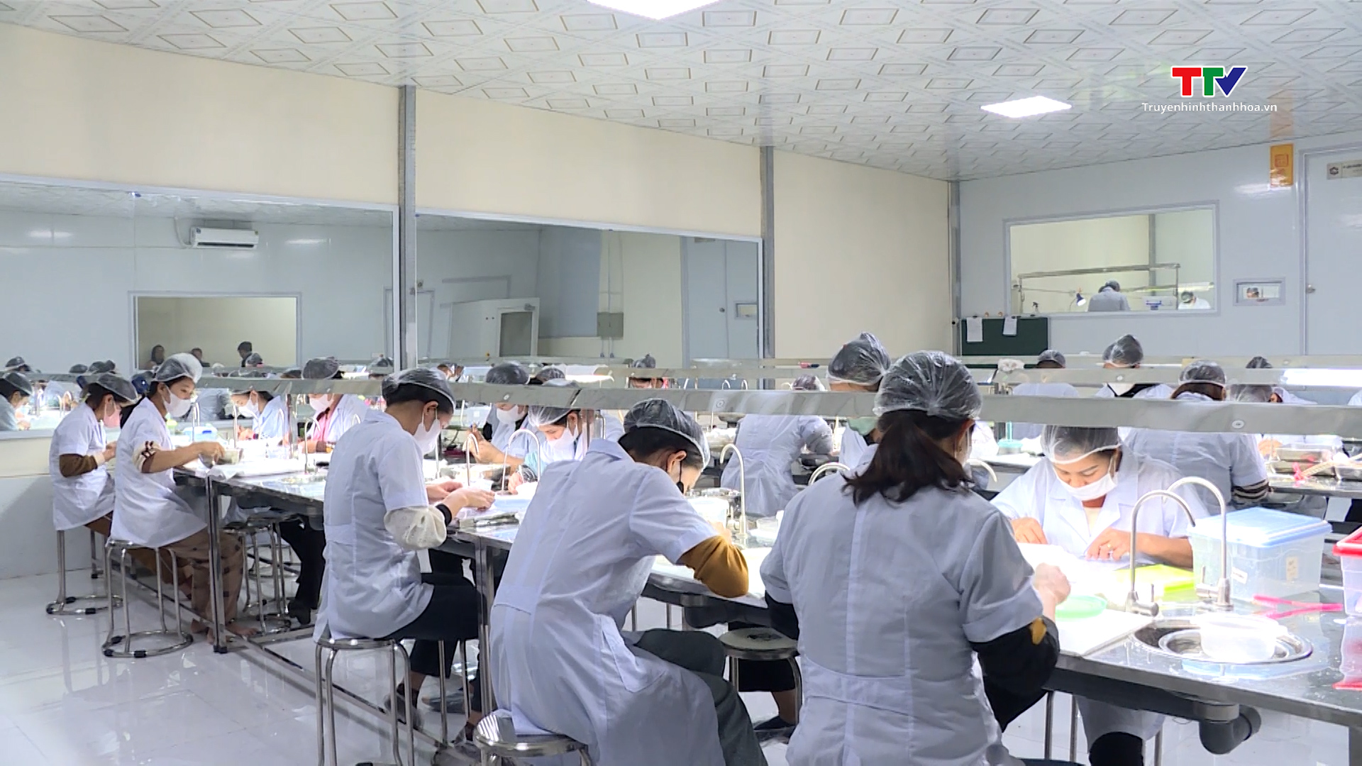 Đăng ký bảo hộ nhãn hiệu cho sản phẩm OCOP Thanh Hóa- Ảnh 1. Đăng ký bảo hộ nhãn hiệu cho sản phẩm OCOP Thanh Hóa- Ảnh 1.