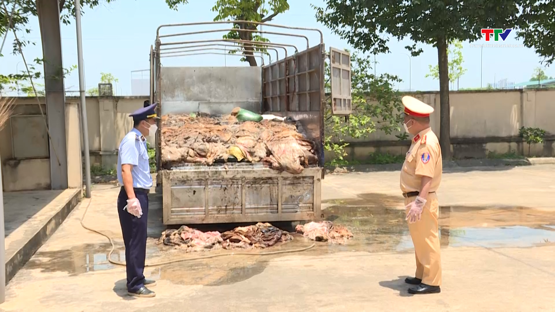 Tiêu hủy gần 5 tấn da trâu, bò không rõ nguồn gốc, xuất xứ- Ảnh 2. Tiêu hủy gần 5 tấn da trâu, bò không rõ nguồn gốc, xuất xứ- Ảnh 2.