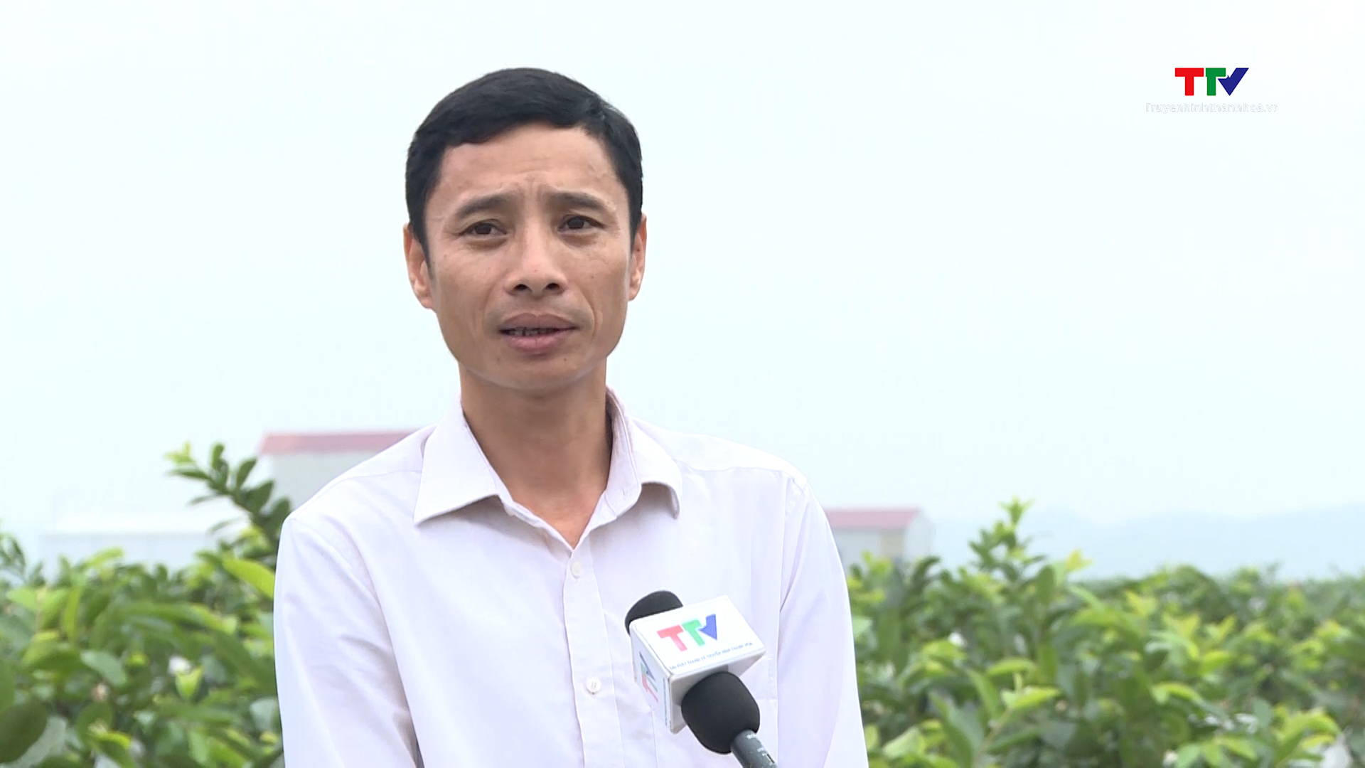 Vai trò của Hội Nông dân trong phát triển kinh tế tập thể, hợp tác xã- Ảnh 2. Vai trò của Hội Nông dân trong phát triển kinh tế tập thể, hợp tác xã- Ảnh 2.