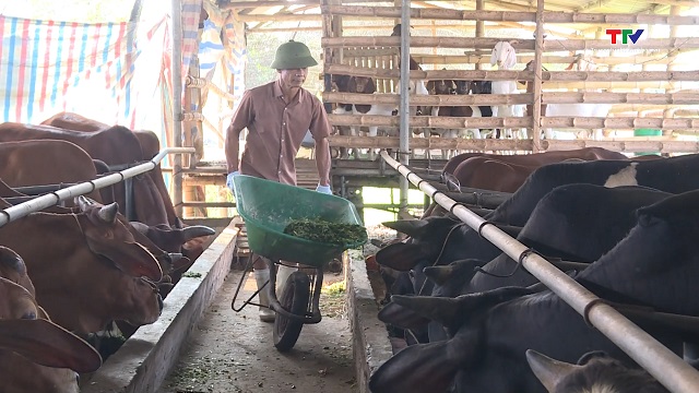 Chủ động phòng chống nắng, nóng cho đàn gia súc gia cầm- Ảnh 2. Chủ động phòng chống nắng, nóng cho đàn gia súc gia cầm- Ảnh 2.