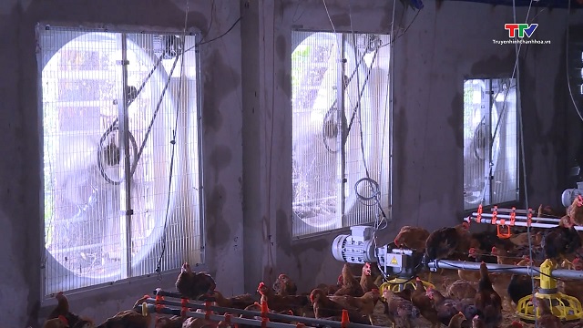 Chủ động phòng chống nắng, nóng cho đàn gia súc gia cầm- Ảnh 3. Chủ động phòng chống nắng, nóng cho đàn gia súc gia cầm- Ảnh 3.