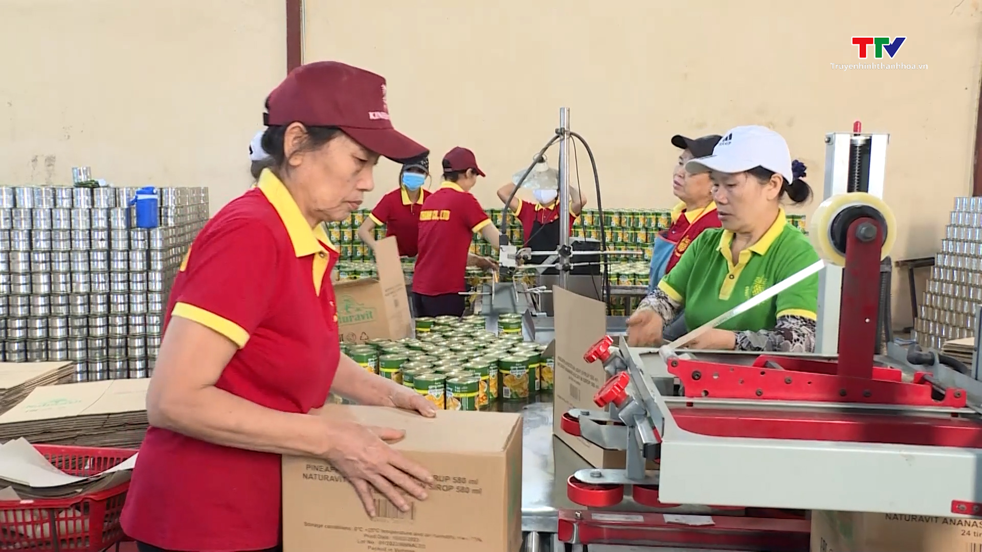 Nhiều tín hiệu tích cực trong xuất khẩu nông, lâm, thuỷ sản- Ảnh 4. Nhiều tín hiệu tích cực trong xuất khẩu nông, lâm, thuỷ sản- Ảnh 4.
