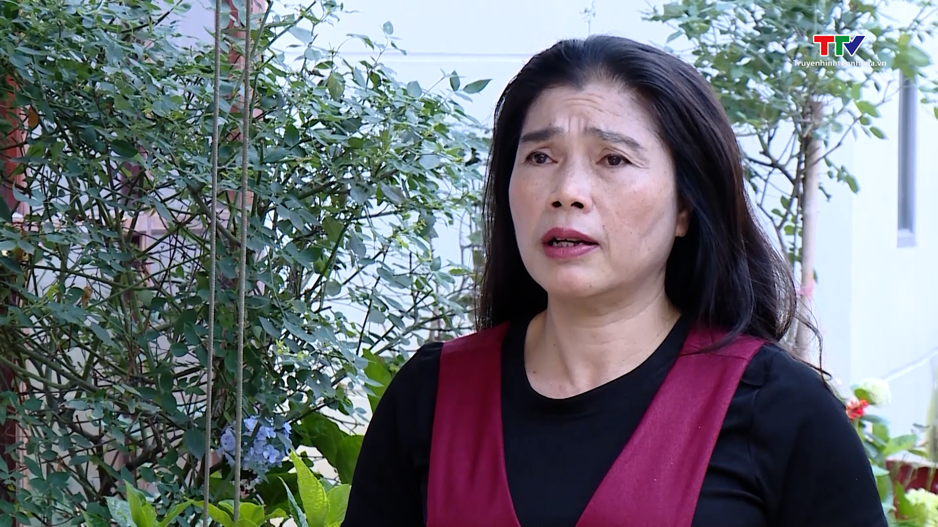 Nhiều tín hiệu tích cực trong xuất khẩu nông, lâm, thuỷ sản- Ảnh 3. Nhiều tín hiệu tích cực trong xuất khẩu nông, lâm, thuỷ sản- Ảnh 3.