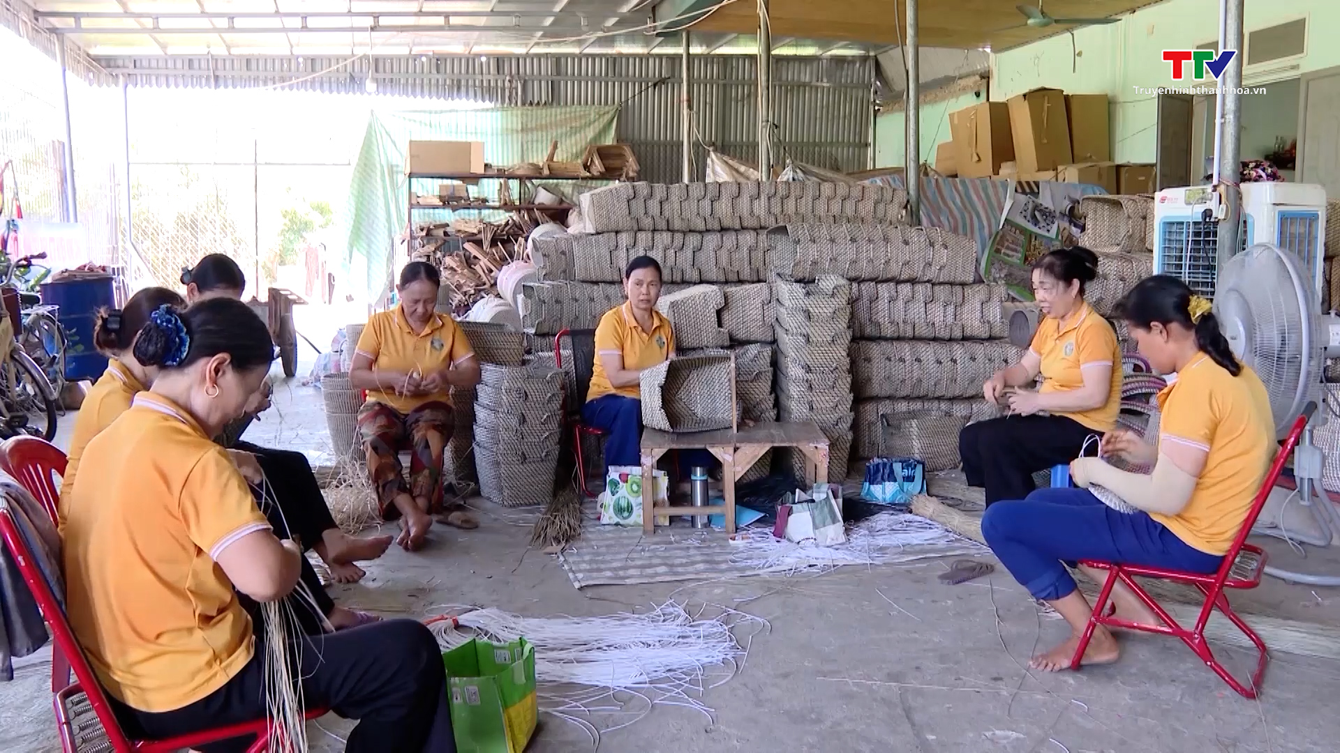 Hợp tác xã - thành tố quan trọng trong phát triển kinh tế tư nhân- Ảnh 2. Hợp tác xã - thành tố quan trọng trong phát triển kinh tế tư nhân- Ảnh 2.