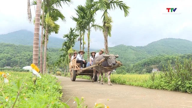 Người kể chuyện Pù Luông xanh- Ảnh 1.