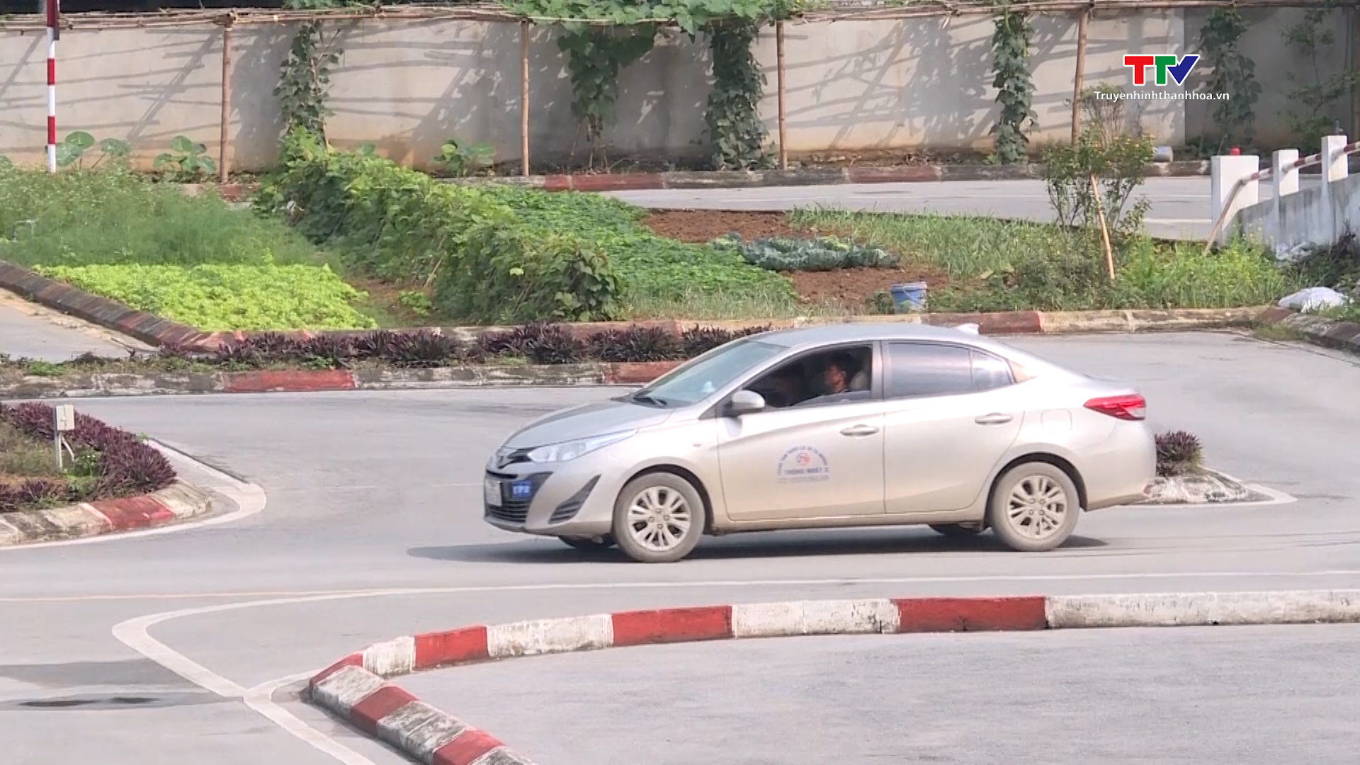 Thu hồi giấy phép xe tập lái - Ảnh 1.