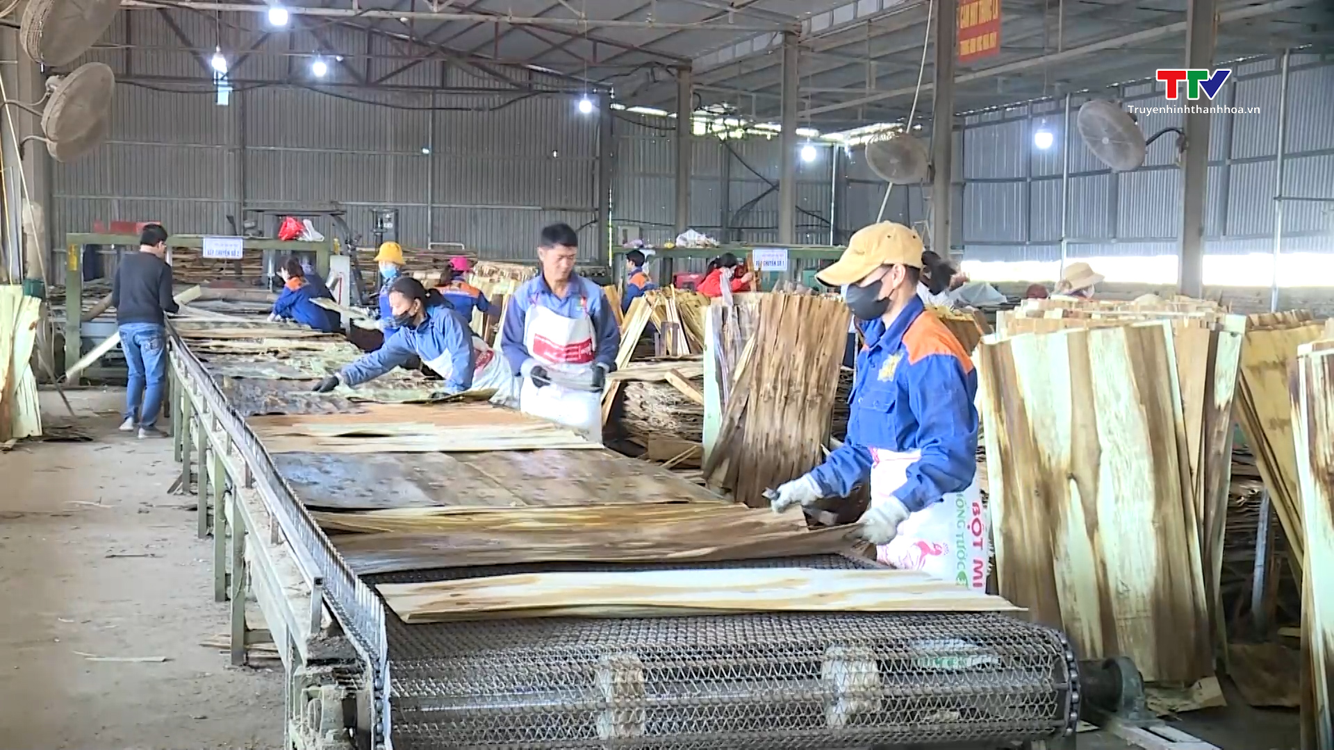 Xuất khẩu gỗ tăng mạnh tại thị trường Tây Ban Nha- Ảnh 1. Xuất khẩu gỗ tăng mạnh tại thị trường Tây Ban Nha- Ảnh 1.