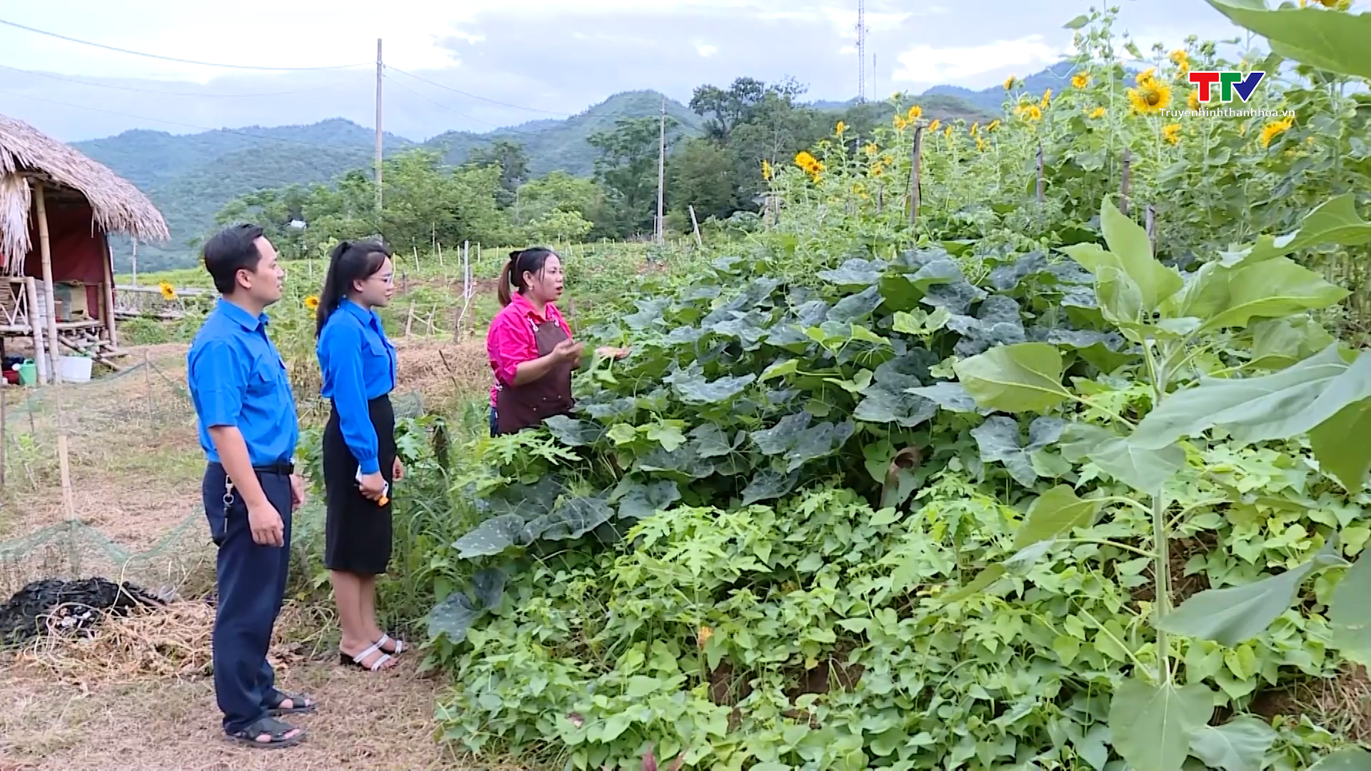 Màu áo xanh tình nguyện giữa núi rừng biên cương- Ảnh 1. Màu áo xanh tình nguyện giữa núi rừng biên cương- Ảnh 1.