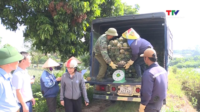 Nhân rộng điển hình hộ nông dân sản xuất, kinh doanh giỏi- Ảnh 1. Nhân rộng điển hình hộ nông dân sản xuất, kinh doanh giỏi- Ảnh 1.