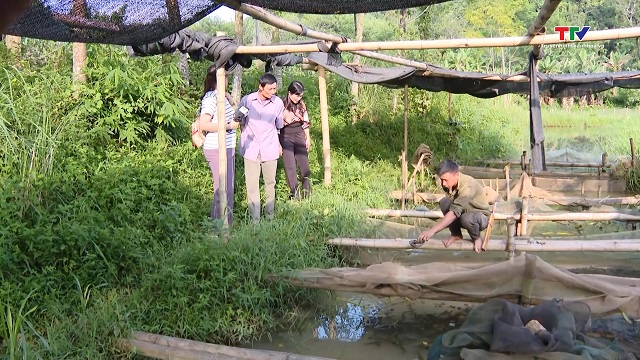 Phát huy vai trò của các cấp ủy Đảng trong giảm nghèo bền vững ở Như Xuân- Ảnh 2. Phát huy vai trò của các cấp ủy Đảng trong giảm nghèo bền vững ở Như Xuân- Ảnh 2.