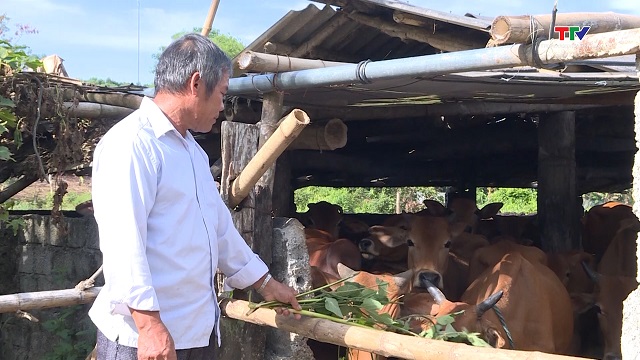 Phát huy vai trò của các cấp ủy Đảng trong giảm nghèo bền vững ở Như Xuân- Ảnh 5. Phát huy vai trò của các cấp ủy Đảng trong giảm nghèo bền vững ở Như Xuân- Ảnh 5.