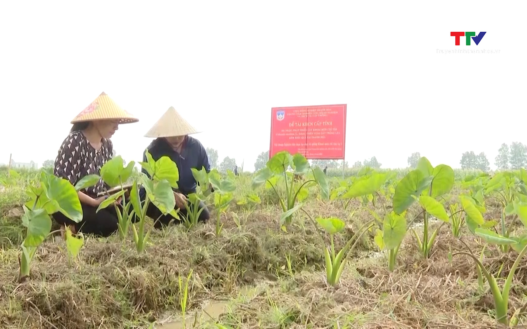 Thanh Hóa phát triển nguồn nhân lực nghiên cứu khoa học