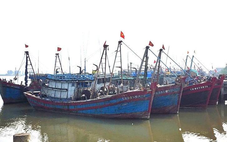 Chủ động ứng phó với áp thấp nhiệt đới