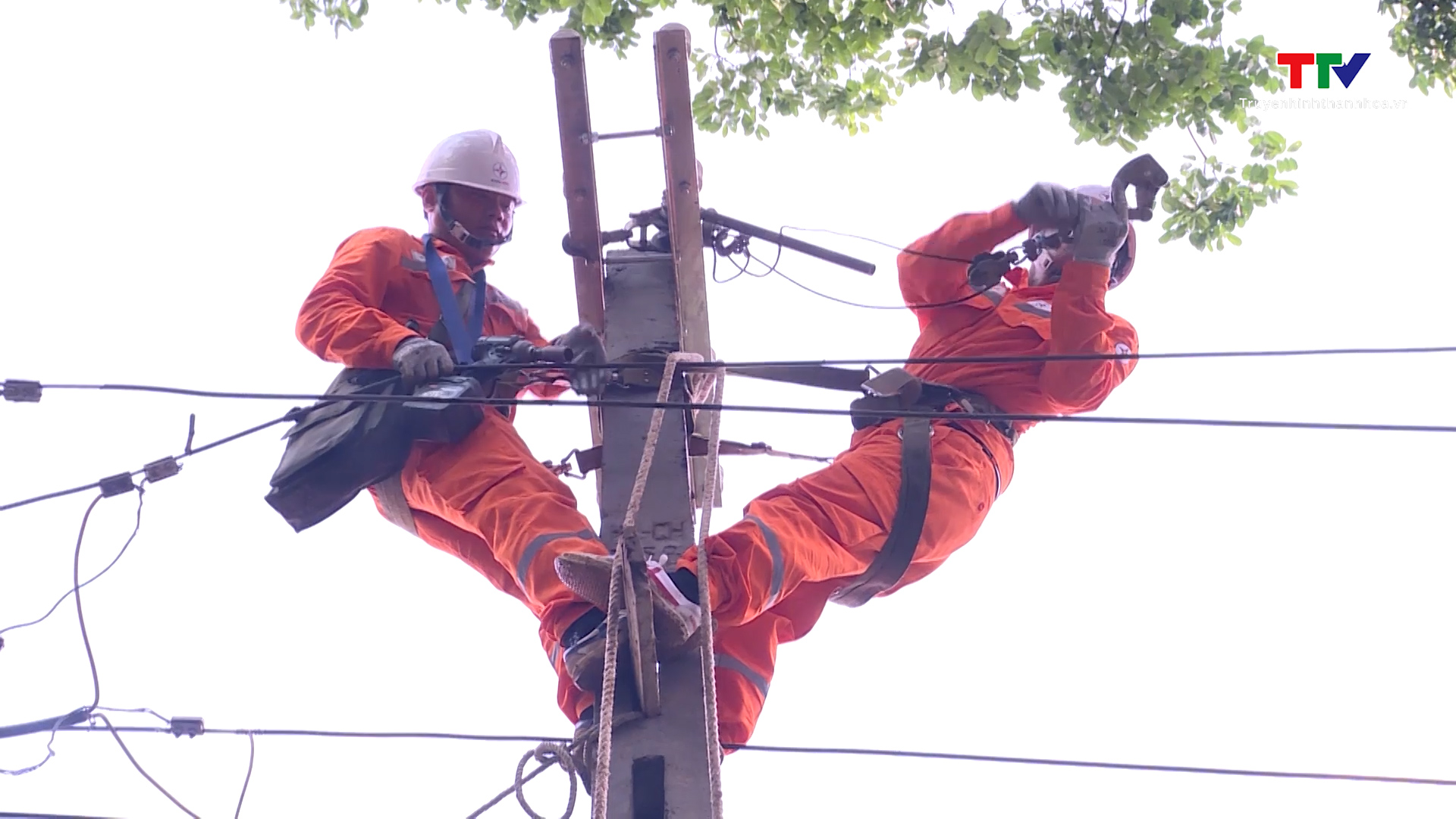 Tiêu thụ điện tại 27 tỉnh, thành phố phía Bắc tăng đột biến, vượt đỉnh năm 2024- Ảnh 1. Tiêu thụ điện tại 27 tỉnh, thành phố phía Bắc tăng đột biến, vượt đỉnh năm 2024- Ảnh 1.